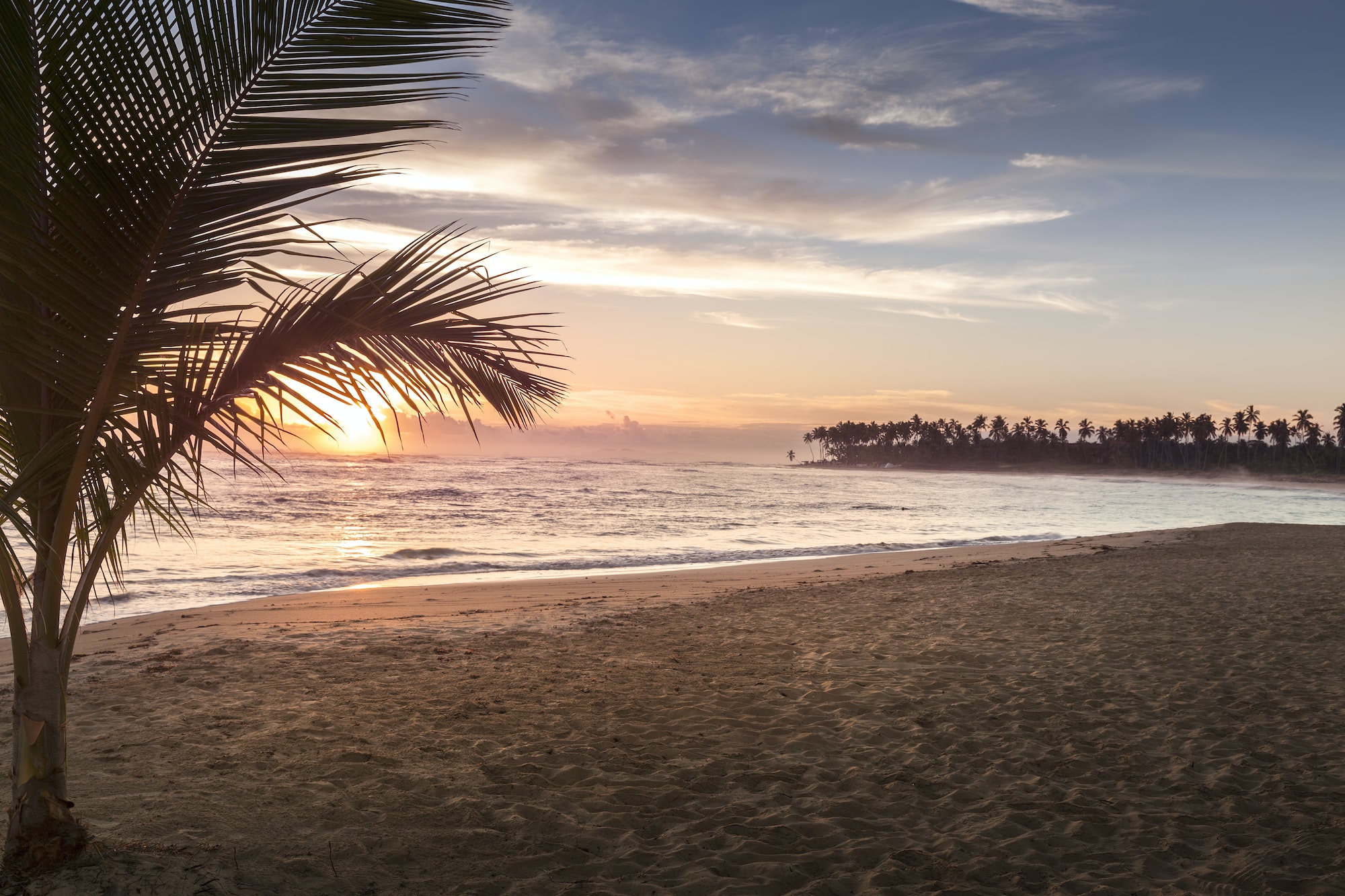 Tropical beach